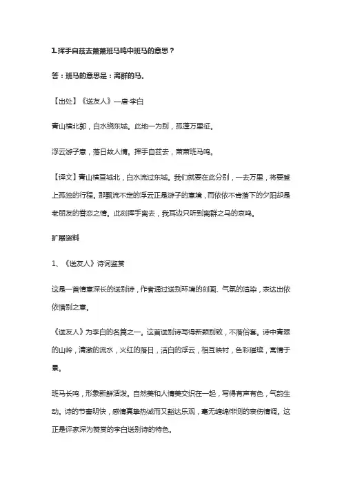 挥手自兹去萧萧班马鸣班马的意思