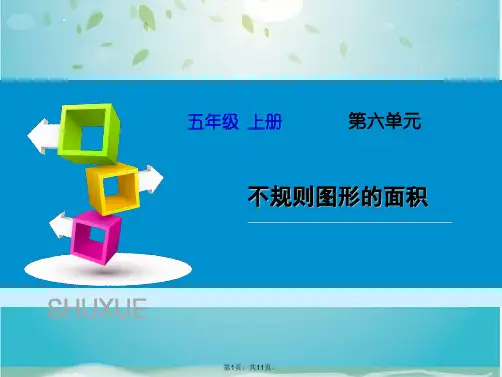 五级上册数学课件 《不规则图形的面积》人教新课标(共11张PPT)