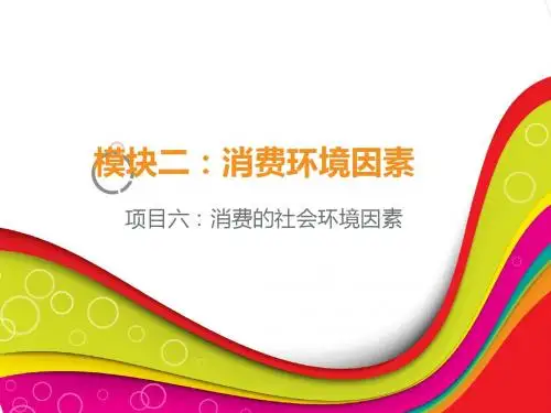 项目六 消费的社会环境因素