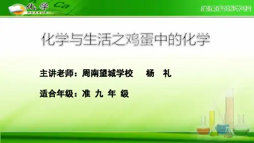 化学与生活之鸡蛋中的化学(九年级趣味课)