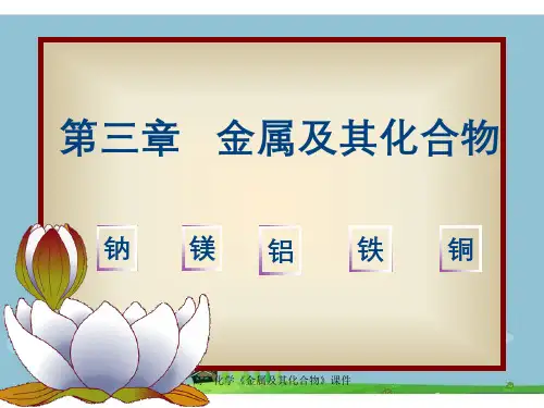 高一化学《金属及其化合物》课件