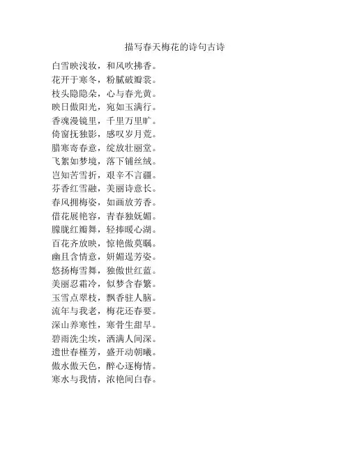 描写春天梅花的诗句古诗