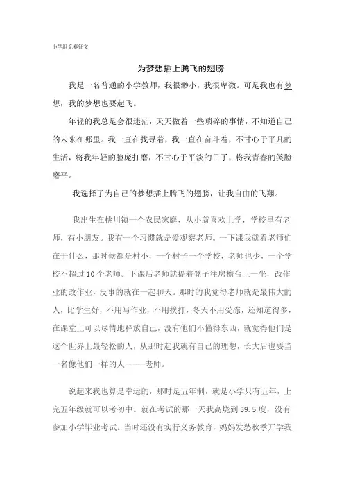为梦想插上腾飞的翅膀1
