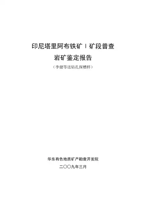 岩矿鉴定报告(余绍桂)-090316