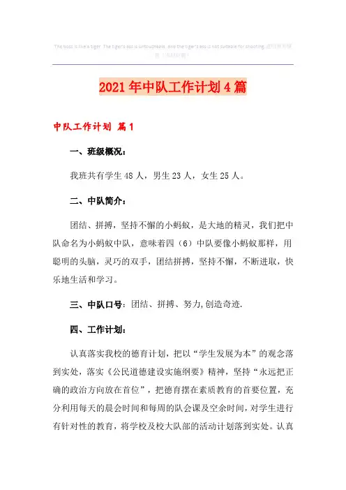 2021年中队工作计划4篇