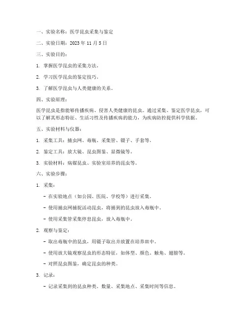 医学昆虫实验报告