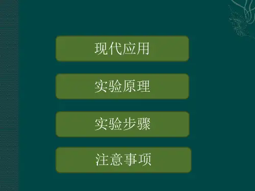 MTT法检测淋巴细胞