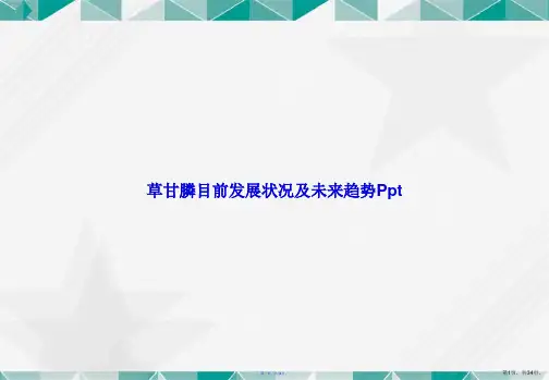 草甘膦目前发展状况及未来趋势Ppt讲课文档