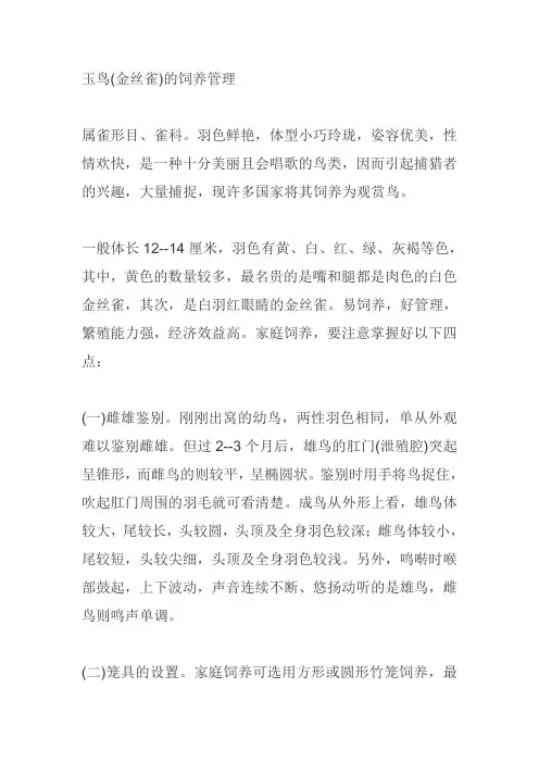 玉鸟