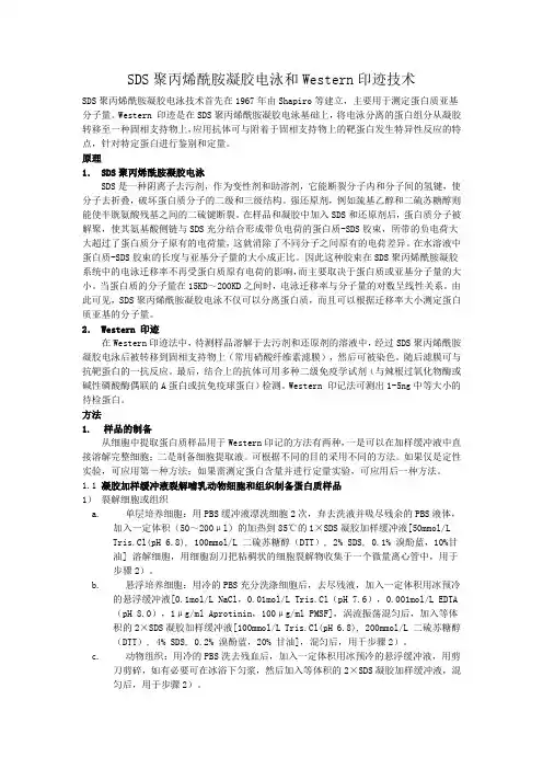 WB实验原理