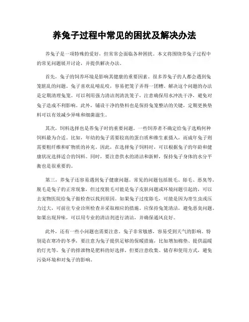 养兔子过程中常见的困扰及解决办法