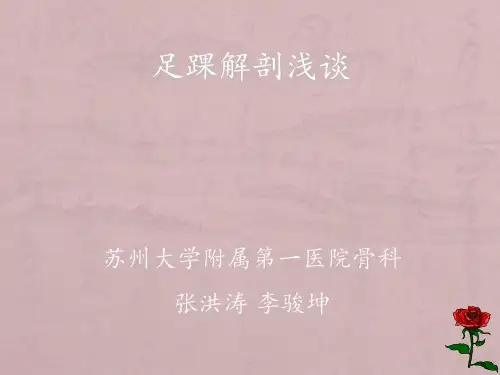 足踝部解剖讲座PPTppt课件