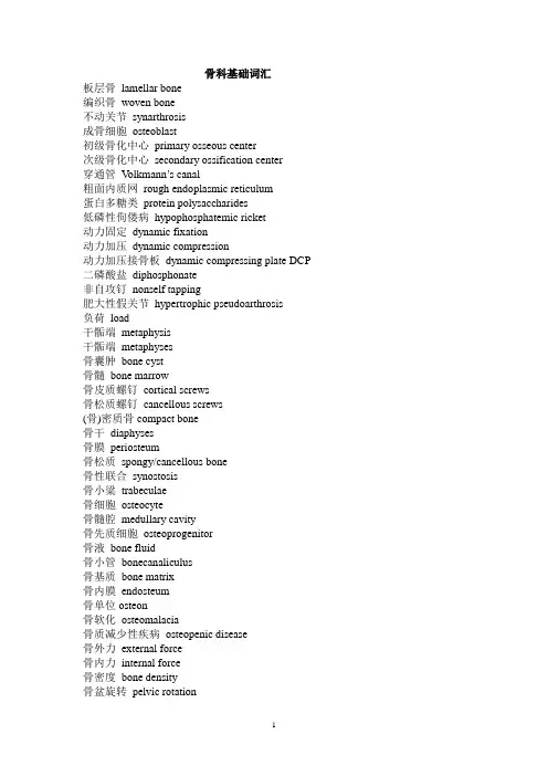 骨科词汇完整版