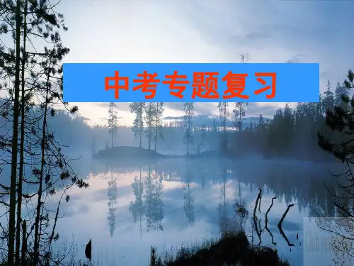 中考语文-语言运用专题复习演示课件.ppt
