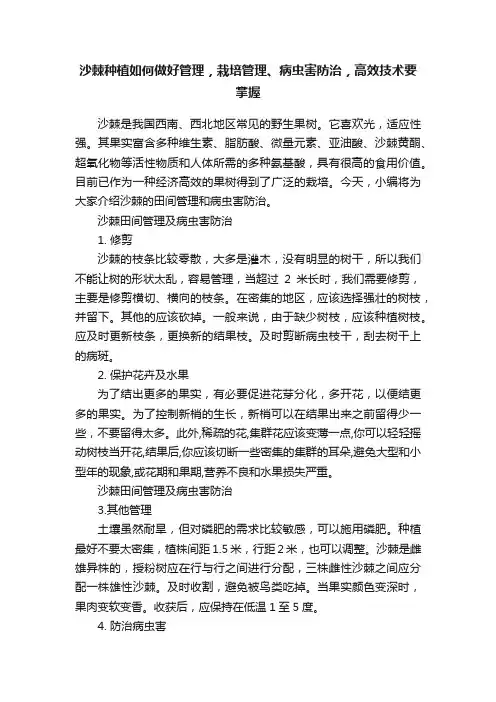 沙棘种植如何做好管理，栽培管理、病虫害防治，高效技术要掌握