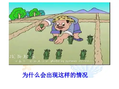 主观符合客观推荐优秀PPT