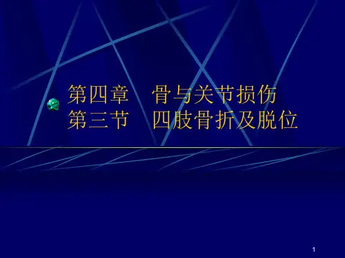 四肢骨折及脱位
