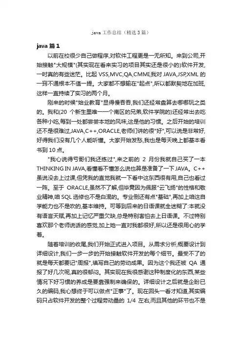 java工作总结（精选3篇）