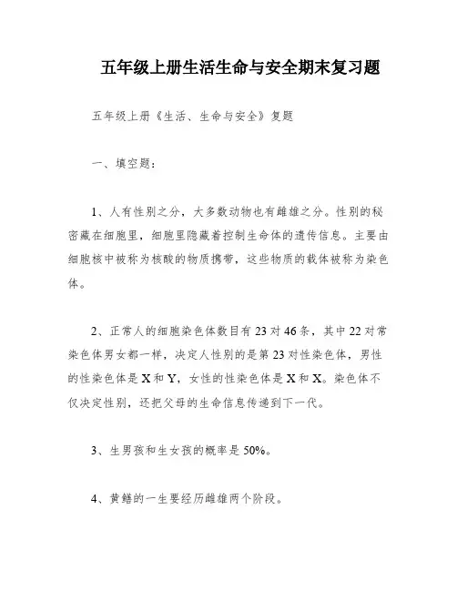 五年级上册生活生命与安全期末复习题