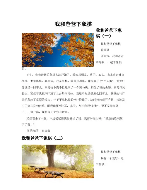 我和爸爸下象棋(共10篇)