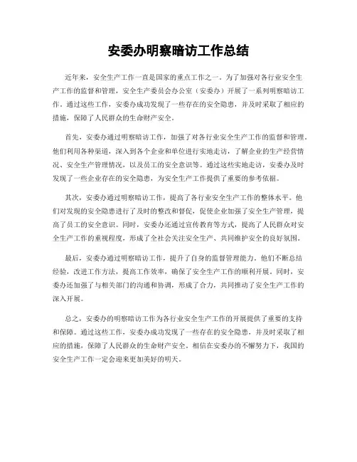 安委办明察暗访工作总结