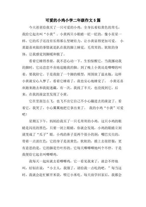 可爱的小鸡小学二年级作文5篇