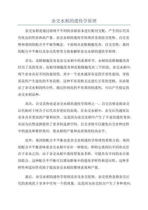 杂交水稻的遗传学原理