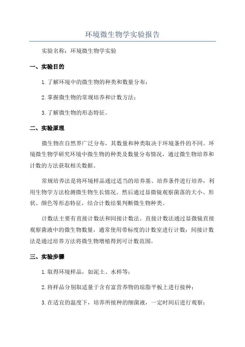 环境微生物学实验报告