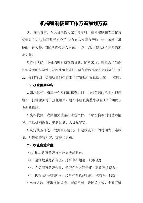 机构编制核查工作方案策划方案