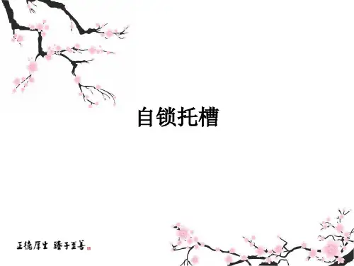 自锁托槽ppt课件