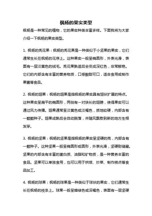枫杨的果实类型
