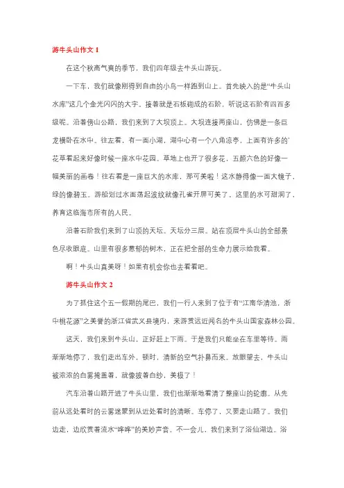 四年级作文游牛首山