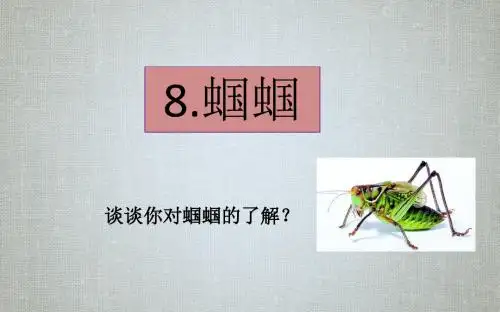 8.《蝈蝈》教学课件