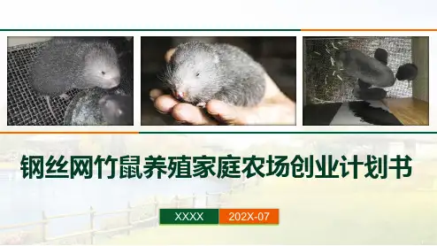 钢丝网竹鼠养殖家庭农场创业计划书PPT