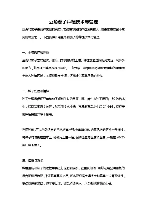 豆角茄子种植技术与管理