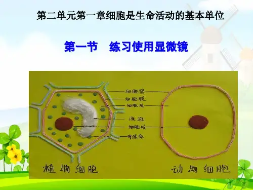 初中生物七上1.1《第一节 练习使用显微镜》课件(两套)