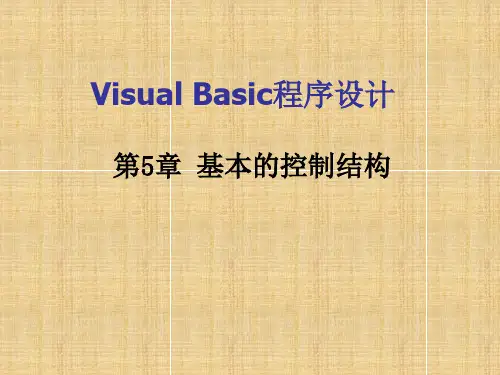 VB-第5章-基本的控制结构-循环结构