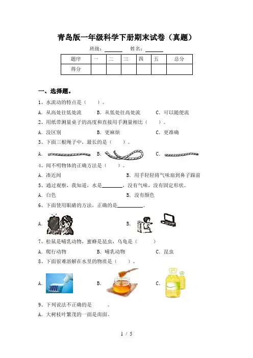 青岛版一年级科学下册期末试卷(真题)
