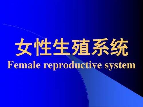 16-女性生殖系统-PPT资料46页
