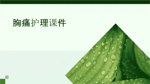 胸痛护理课件