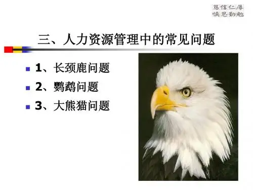 人力资源管理中的常见问题