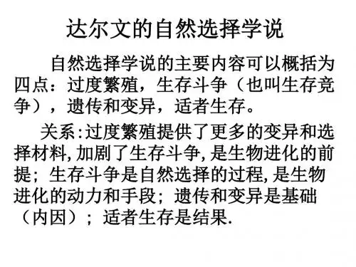 八年级达尔文的自然选择学说Microsoft Office PowerPoint 2007 幻灯片