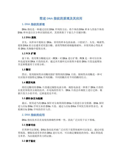 简述dna指纹的原理及其应用