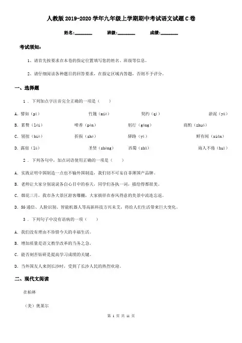 人教版2019-2020学年九年级上学期期中考试语文试题C卷(模拟)