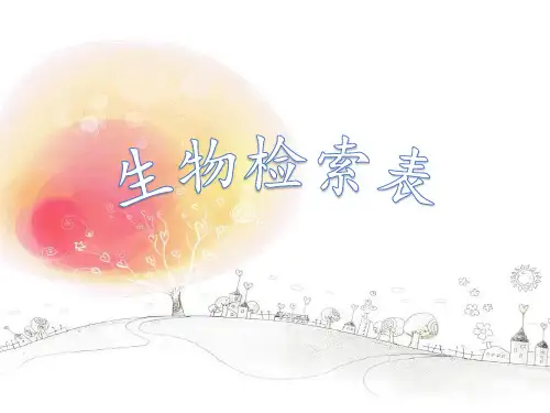 2020-2021学年苏科版七年级下册生物 14.2生物检索表 课件  