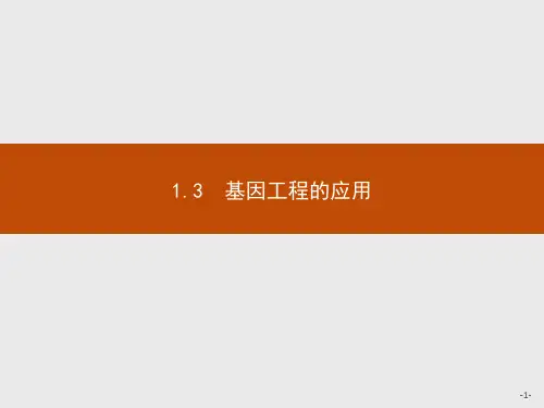 人教版高中生物学选择性必修3现代生物科技专题精品课件 1.3 基因工程的应用