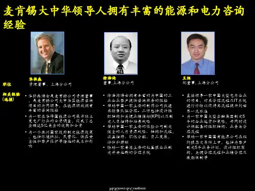 麦肯锡项目组成员介绍