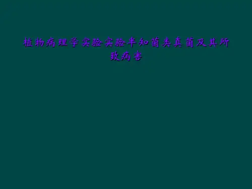 植物病理学实验实验半知菌类真菌及其所致病害