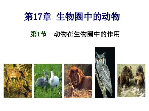 八年级生物(北师大版)上册备课优质课件 17-1 动物在生物圈中的作用