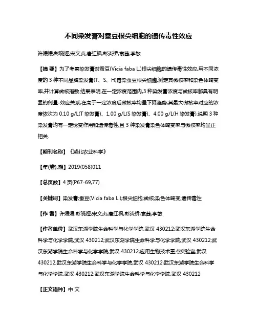 不同染发膏对蚕豆根尖细胞的遗传毒性效应